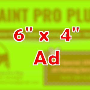 6x4 Horizontal Print Ad - 10,000 Home Distribution